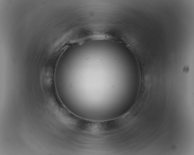X0000115650074200911101549