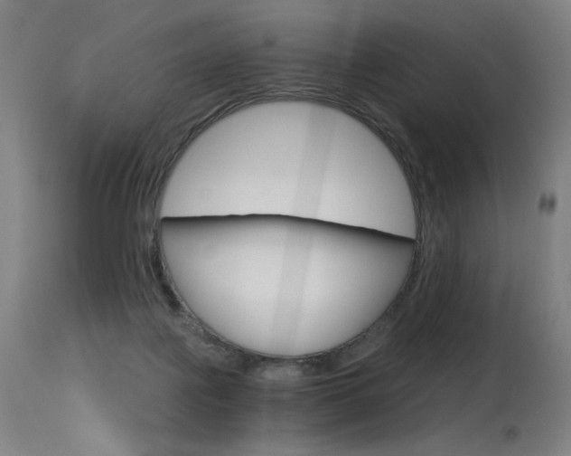 X0000115650075200911101549
