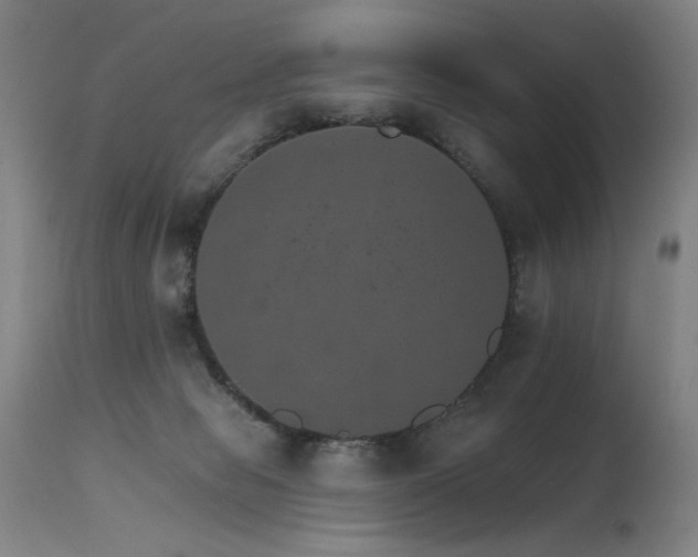 X0000115650077200911101549