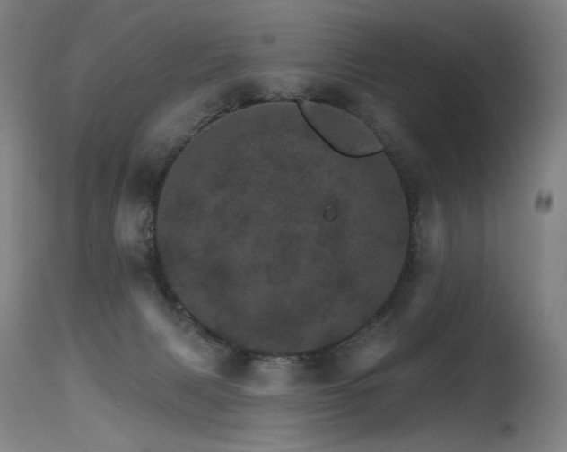 X0000115650079200911101549