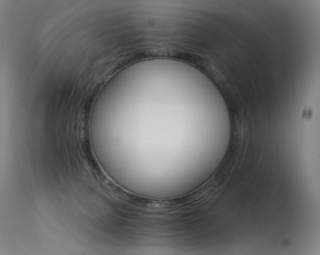 X0000115650080200911101549