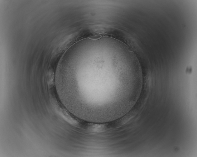 X0000115650081200911101549