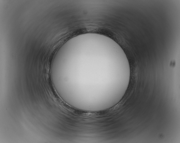 X0000115650082200911101549