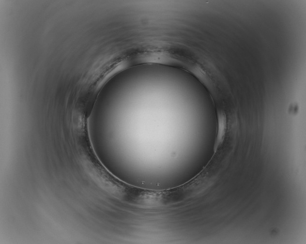 X0000115650084200911101549