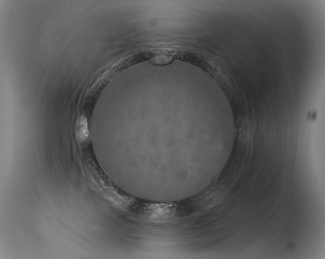 X0000115650089200911101549