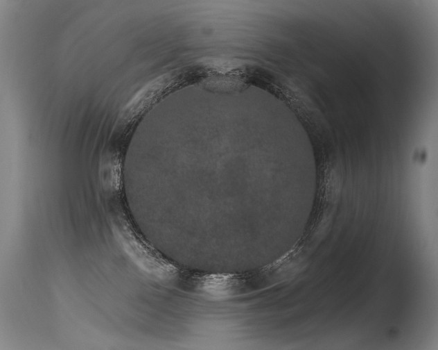 X0000115650090200911101549