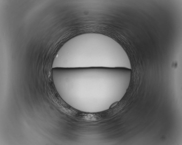 X0000115650091200911101549