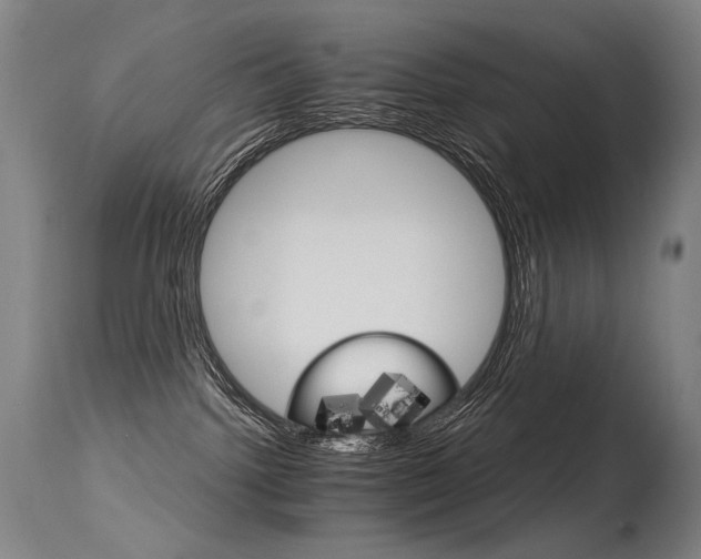 X0000115650092200911101549