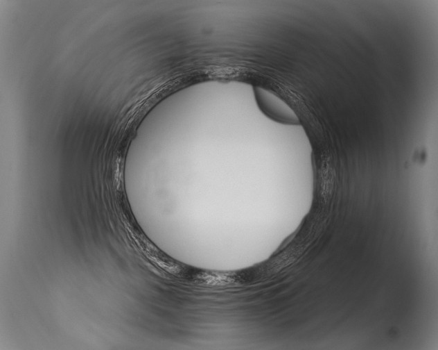 X0000115650093200911101549