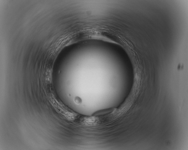 X0000115650096200911101549