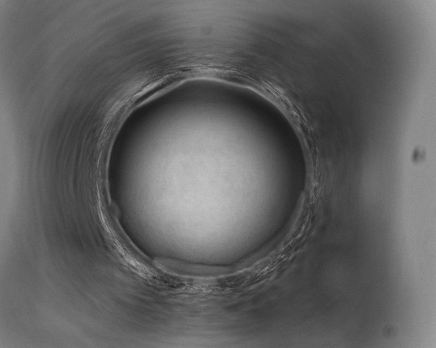 X0000115650097200911101549
