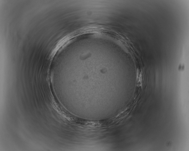 X0000115650099200911101549
