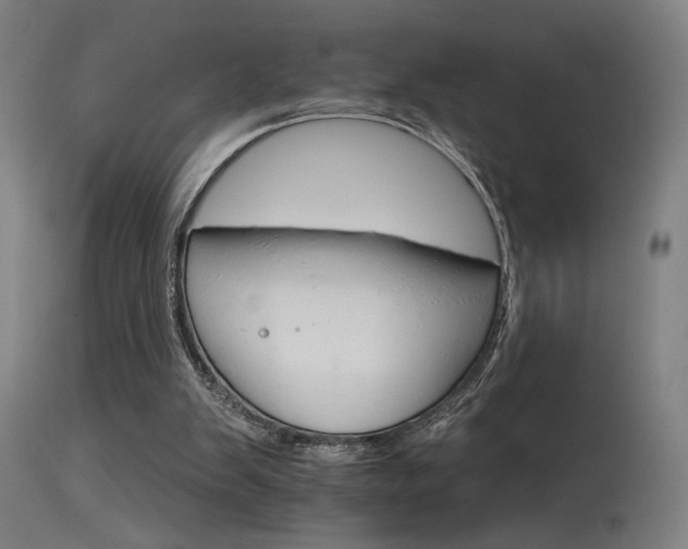 X0000115650103200911101549