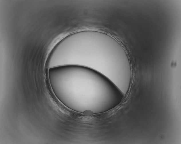 X0000115650104200911101549