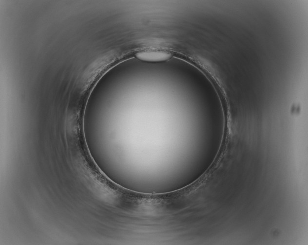X0000115650105200911101549