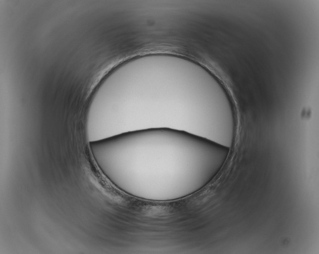 X0000115650107200911101549