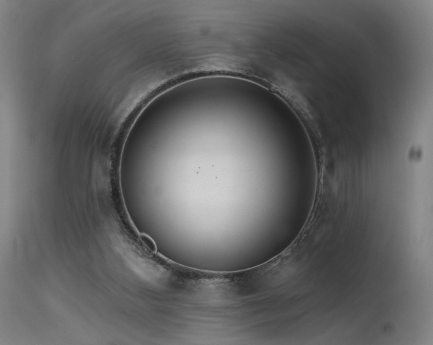 X0000115650108200911101549
