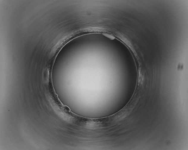 X0000115650109200911101548
