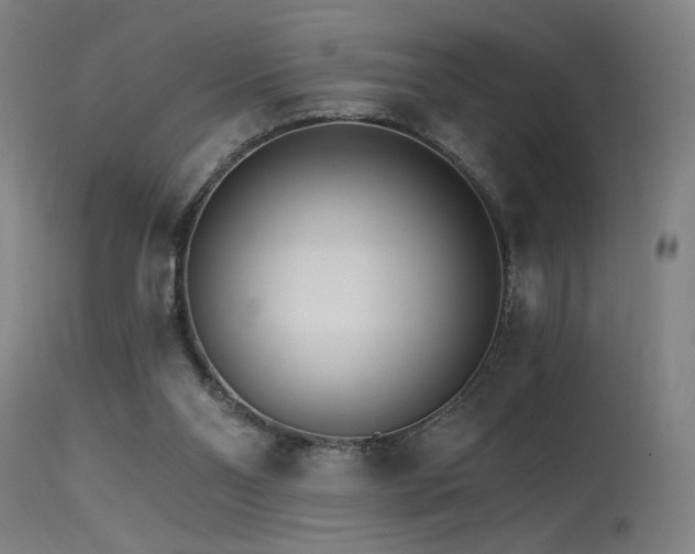 X0000115650110200911101548