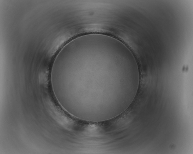 X0000115650111200911101548