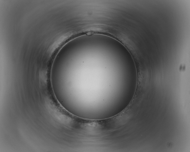 X0000115650112200911101548