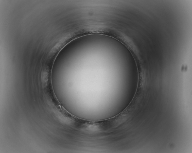X0000115650113200911101548