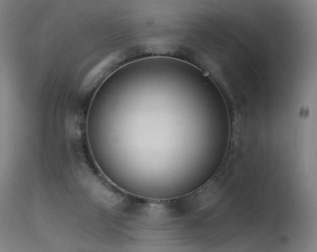 X0000115650114200911101548