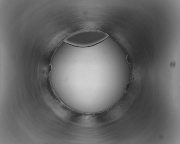 X0000115650117200911101548