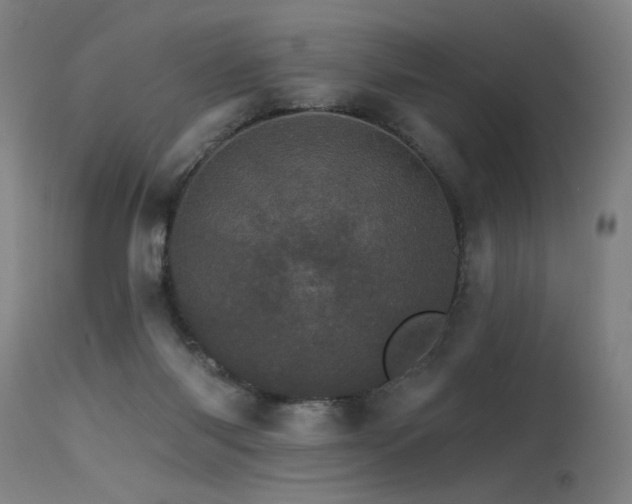 X0000115650118200911101548