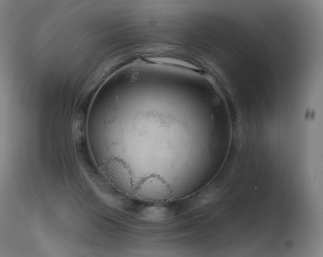 X0000115650119200911101548