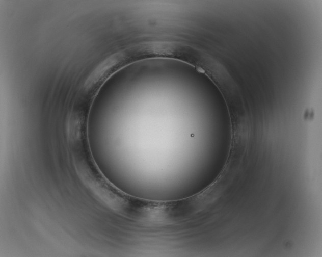 X0000115650120200911101548