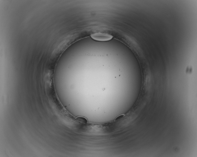 X0000115650121200911101548