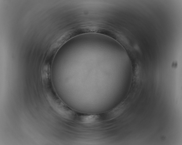 X0000115650122200911101548