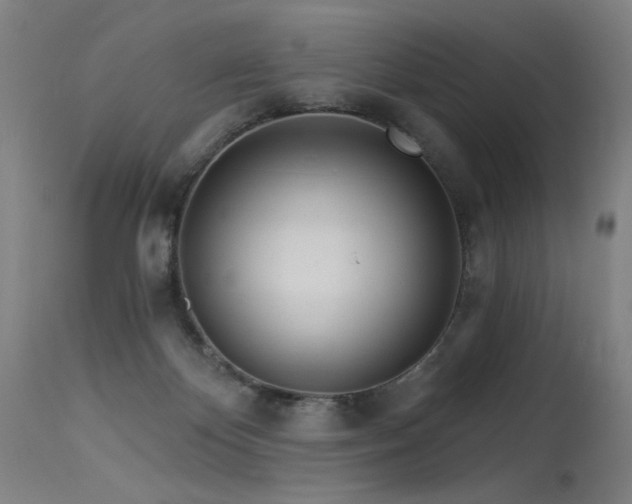 X0000115650124200911101548