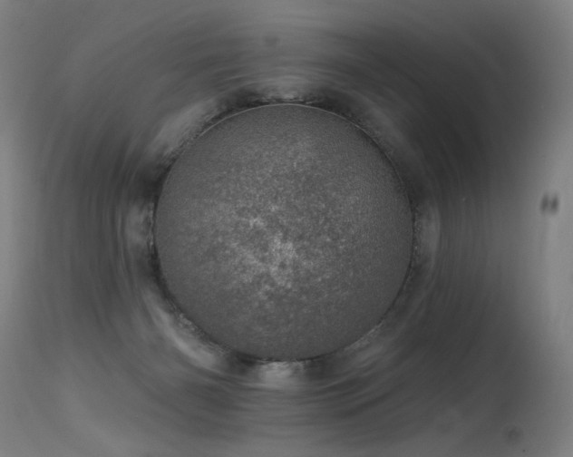 X0000115650126200911101548
