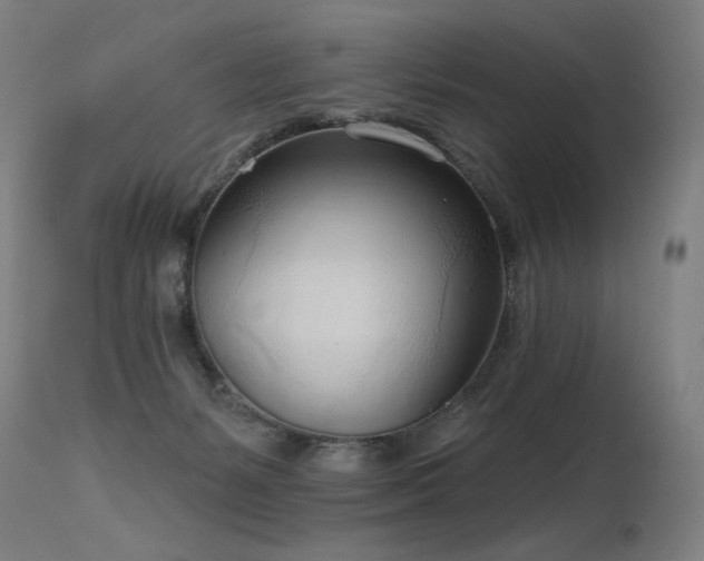 X0000115650127200911101548