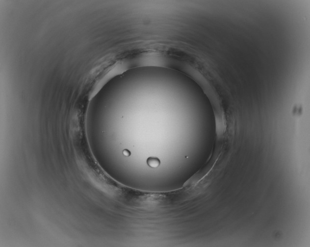 X0000115650128200911101548