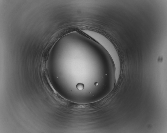 X0000115650129200911101548