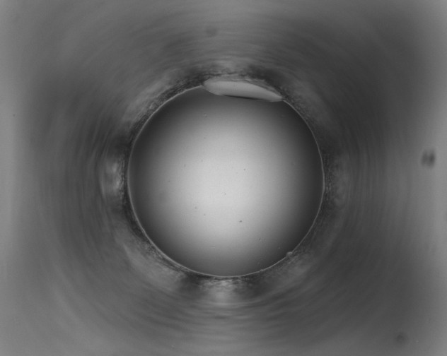 X0000115650131200911101548