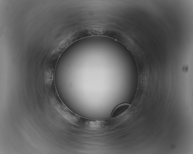 X0000115650134200911101548