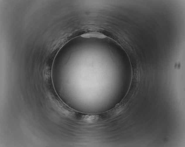 X0000115650135200911101548