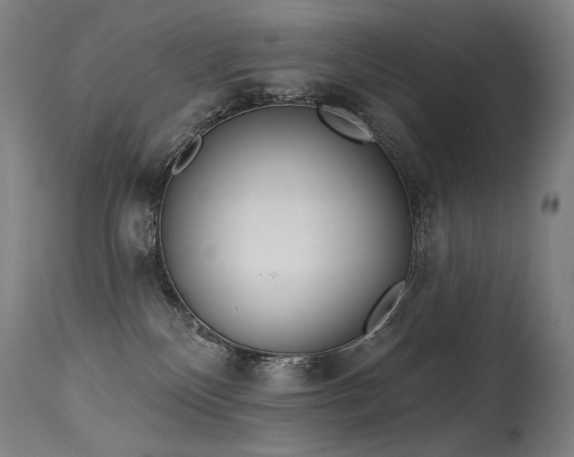 X0000115650136200911101548