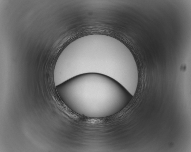 X0000115650137200911101548