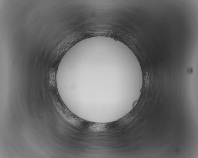 X0000115650138200911101548
