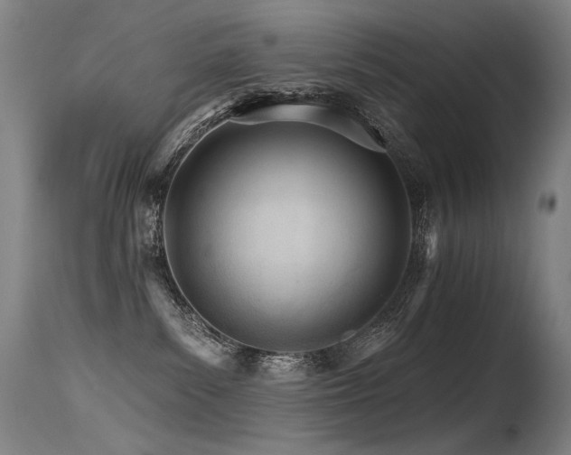 X0000115650139200911101548