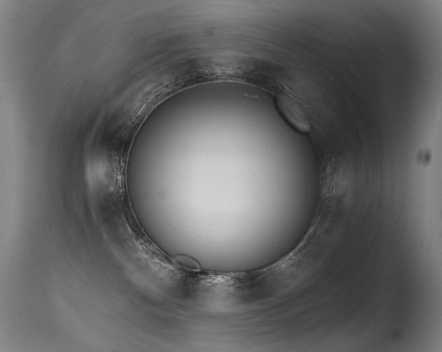 X0000115650140200911101548