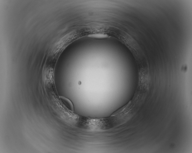 X0000115650141200911101548