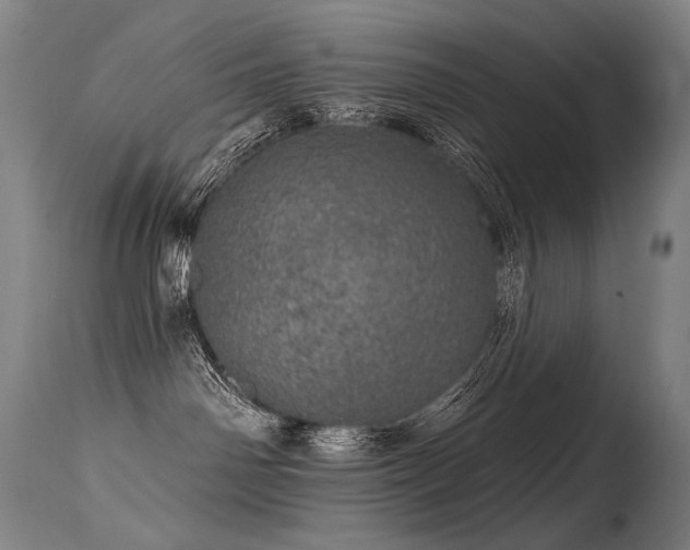 X0000115650142200911101548