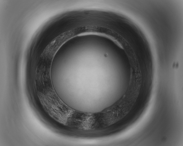 X0000115650143200911101548