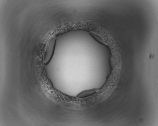 X0000115650144200911101548